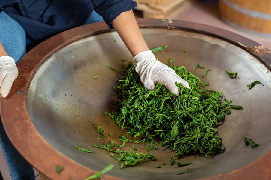 İyi Çay Bir Tasarım İşidir: Bahçeden Başlayan Lezzet Yolculuğu