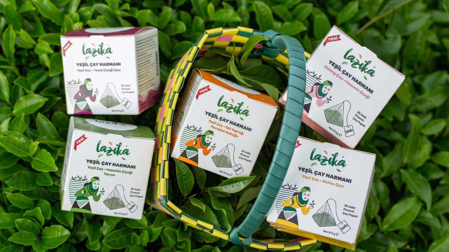 Yeşil Çay Harmanları