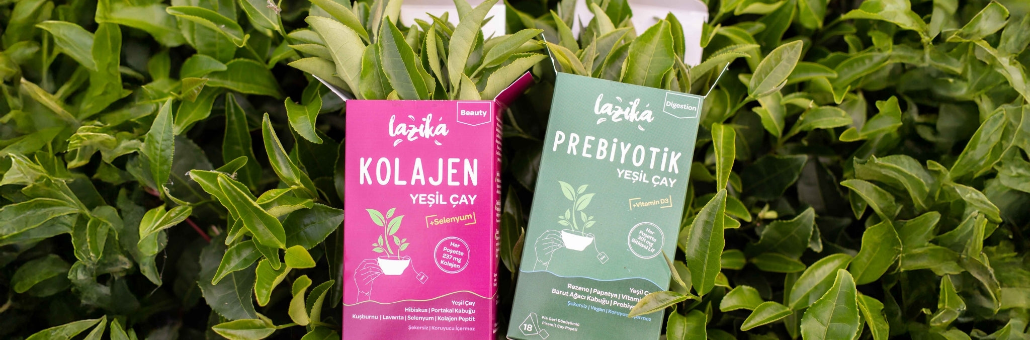 Süper Yeşil Çaylar