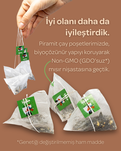 Green Tea Pyramid Tea Bags