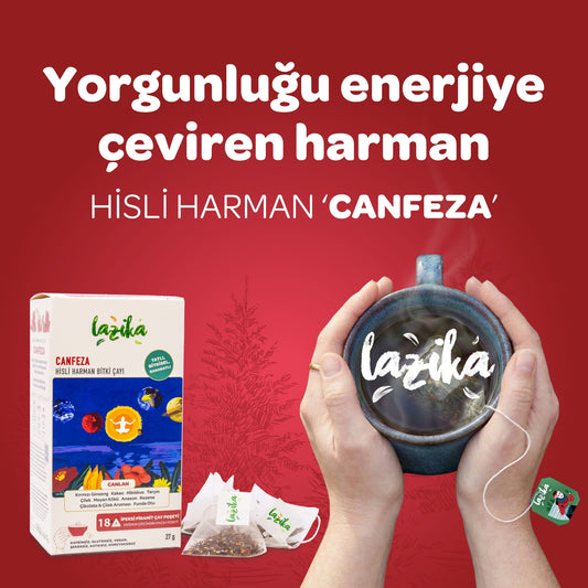 Canfeza (Beije Çayı ) — Kırmızı Ginseng, Kakao ve Hibiskus harmanı, kafein içermez, Lazika Hisli Harman koleksiyonu, 18 biyoçözünür piramit poşet