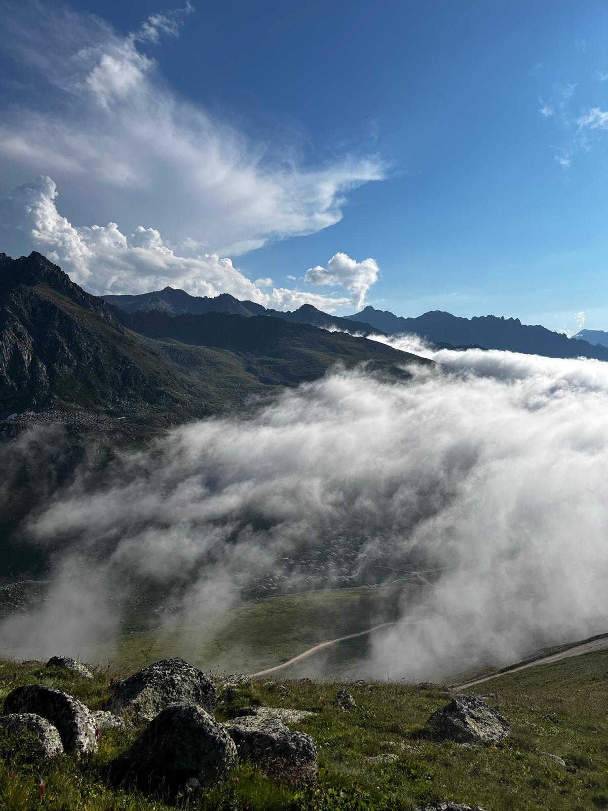 Green Tea Blend Highland Flower