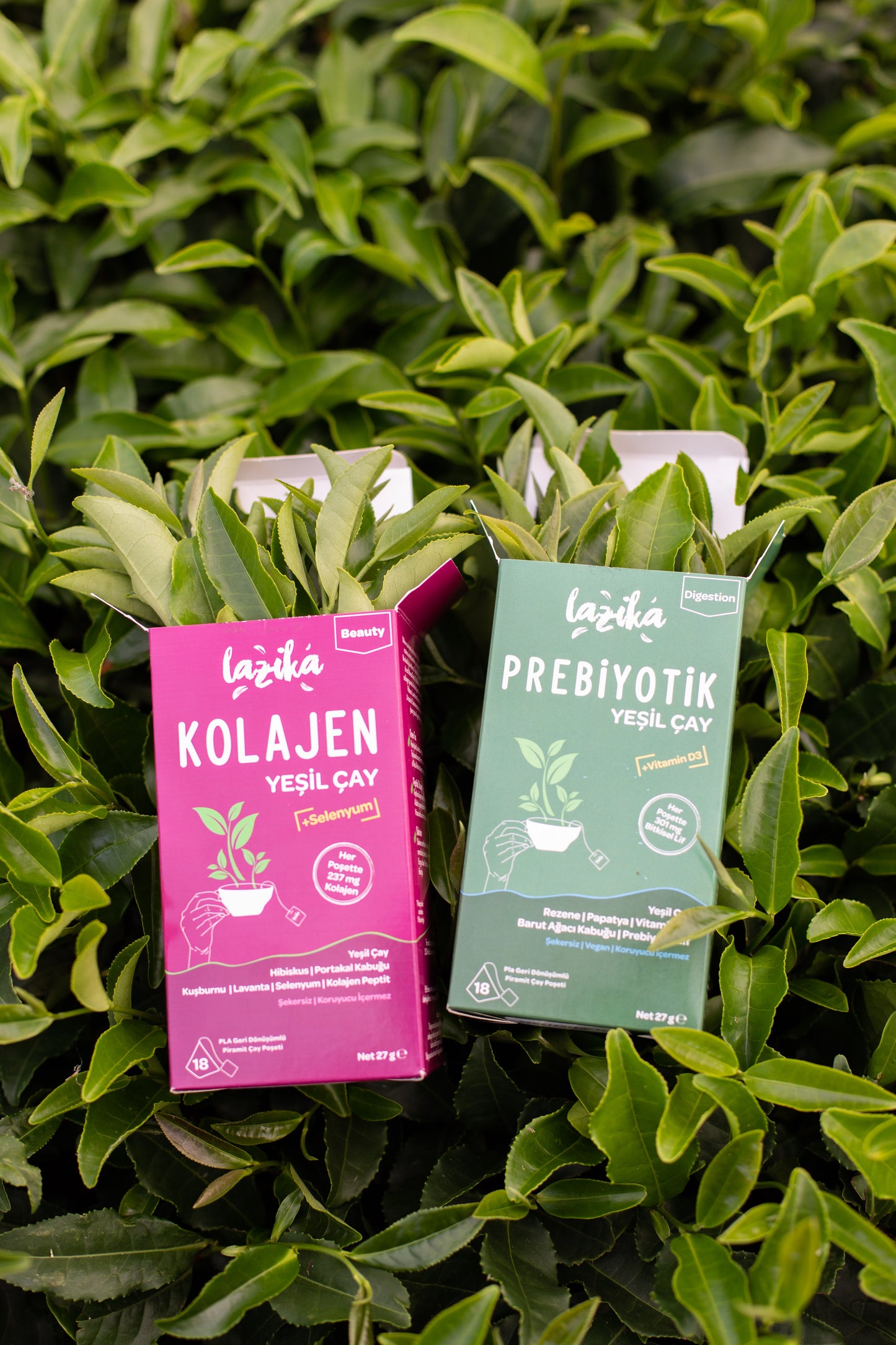 Prebiotic Green Tea