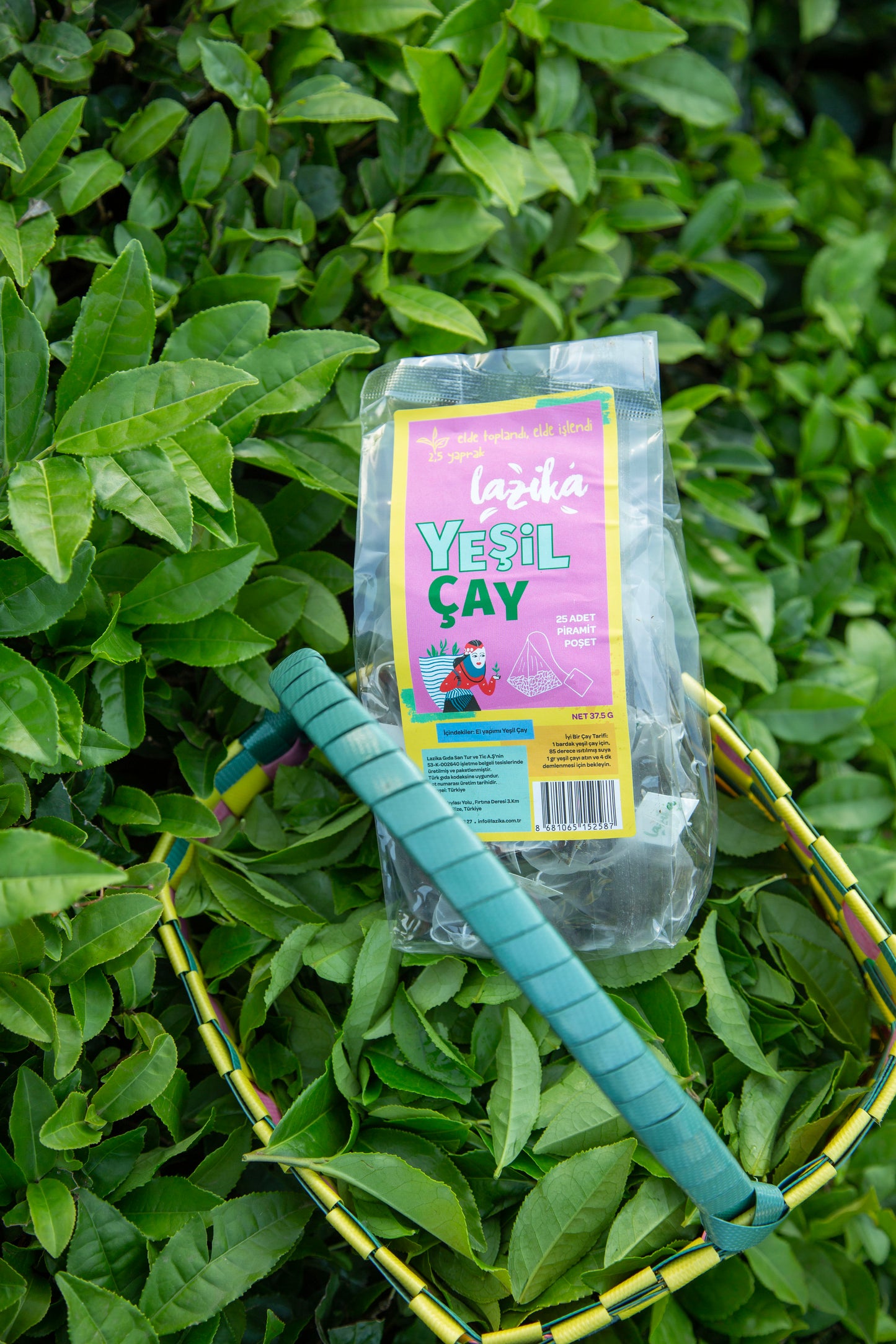 Green Tea Pyramid Tea Bags