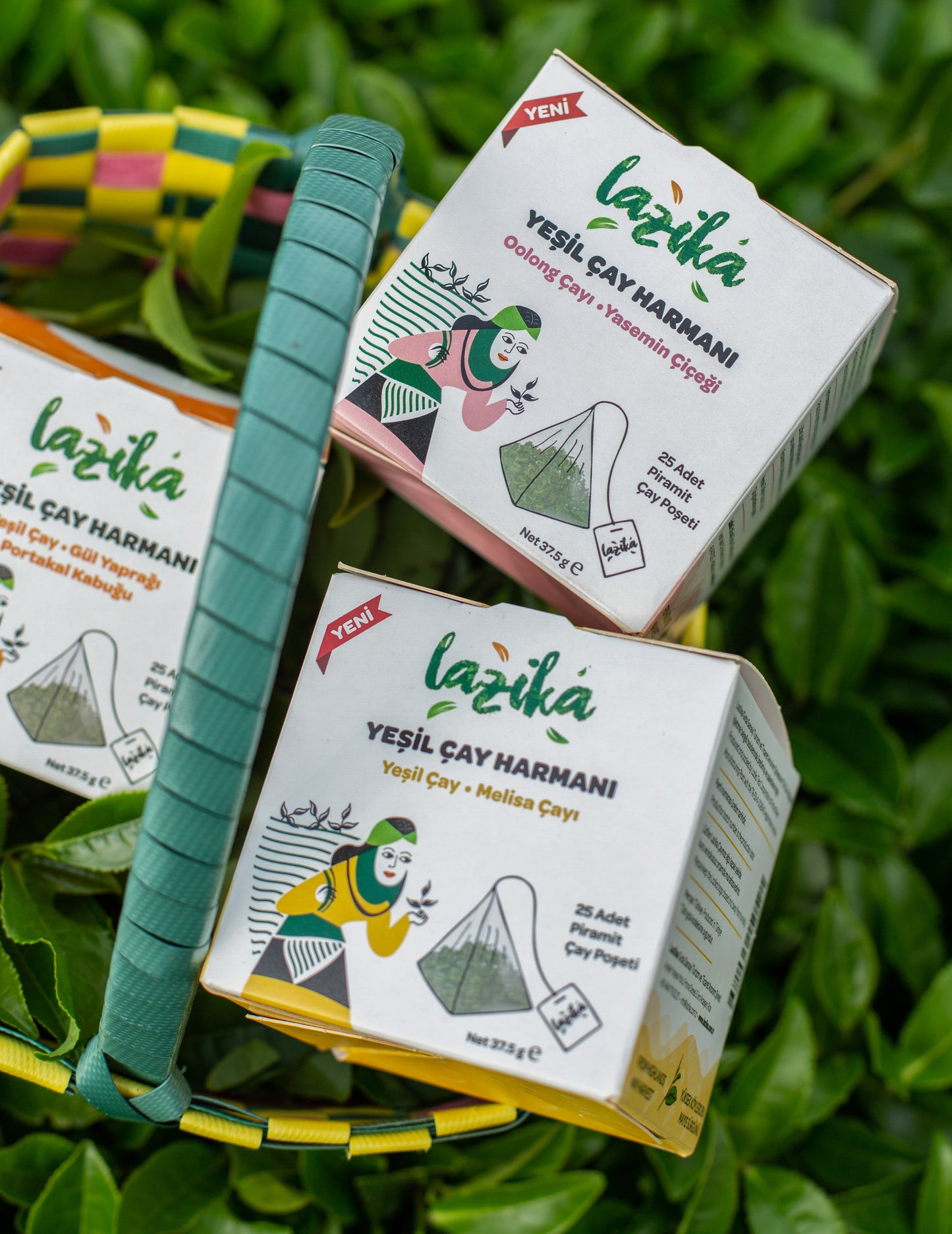 Green Tea Blend, Melissa